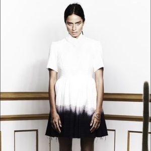 🌲 Ellery The Ventures Dip Dye Dress Size 2